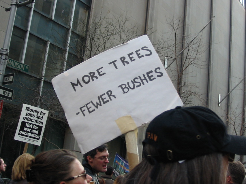 More trees - fewer Bushes