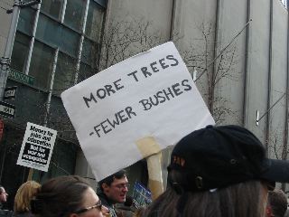 More trees - fewer Bushes
