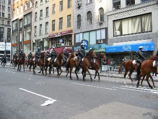 Cops on Horses