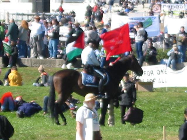 Cop on Horse in Crowd