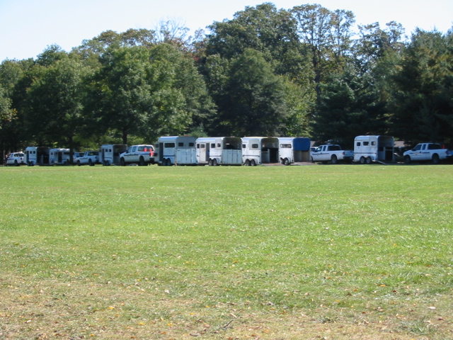 Cop horse trailers