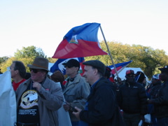 Haitian Flags