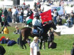 Cop on Horse in Crowd