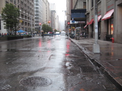 Rain on the streets