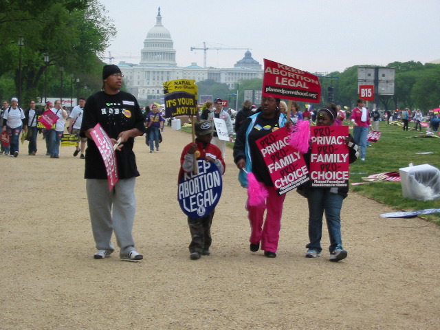 Protesters, with the Capitol in the background